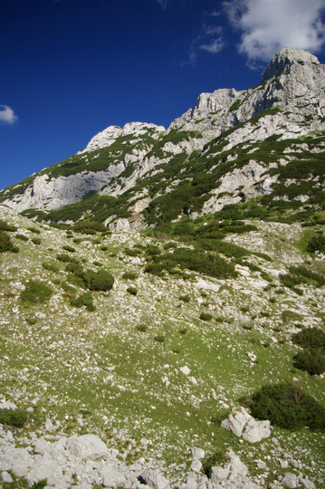 �ern� Hora - Durmitor
