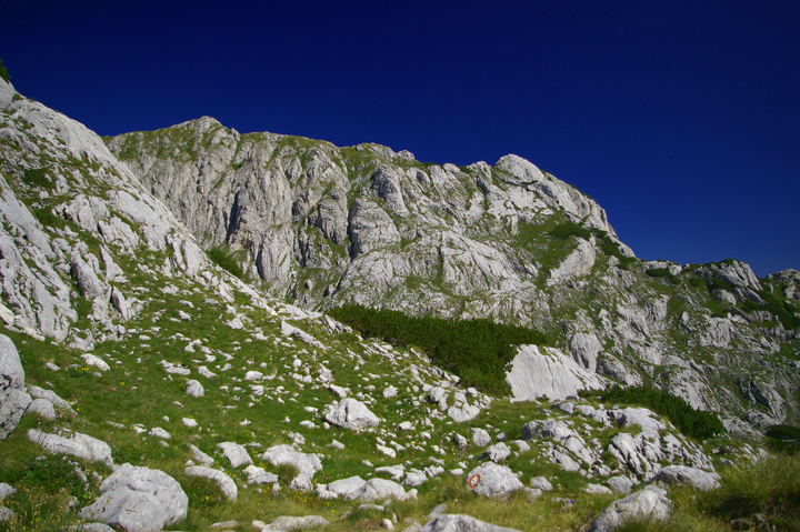�ern� Hora - Durmitor
