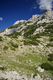 �ern� Hora - Durmitor
