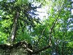 Mal� Fatra