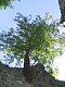 Mal� Fatra