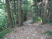Mal� Fatra
