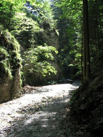 Slovensk� r�j