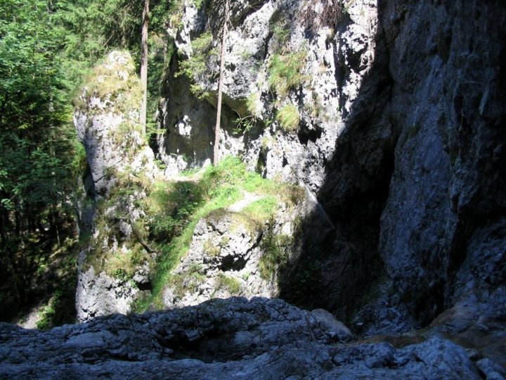 Slovensk� r�j