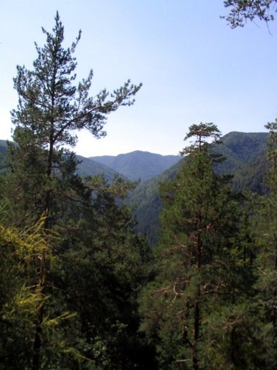 Slovensk� r�j