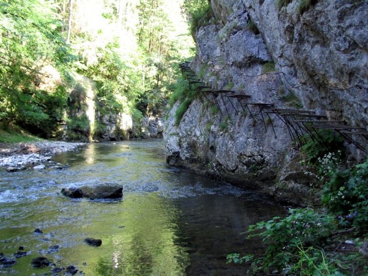 Slovensk� r�j