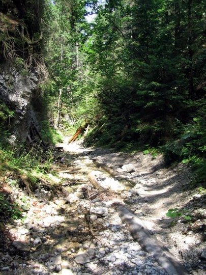 Slovensk� r�j