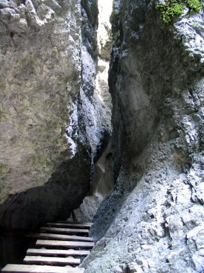 Slovensk� r�j