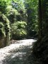 Slovensk� r�j
