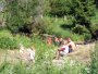 Slovensk� r�j - ...koupaj� se ve zdroji pitn� vody
