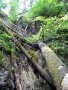 Slovensk� r�j