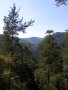 Slovensk� r�j