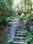 Slovensk� r�j