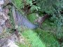 Slovensk� r�j