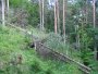 Slovensk� r�j