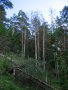 Slovensk� r�j