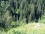 Slovensk� r�j
