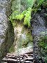 Slovensk� r�j