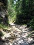 Slovensk� r�j