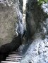 Slovensk� r�j
