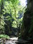Slovensk� r�j