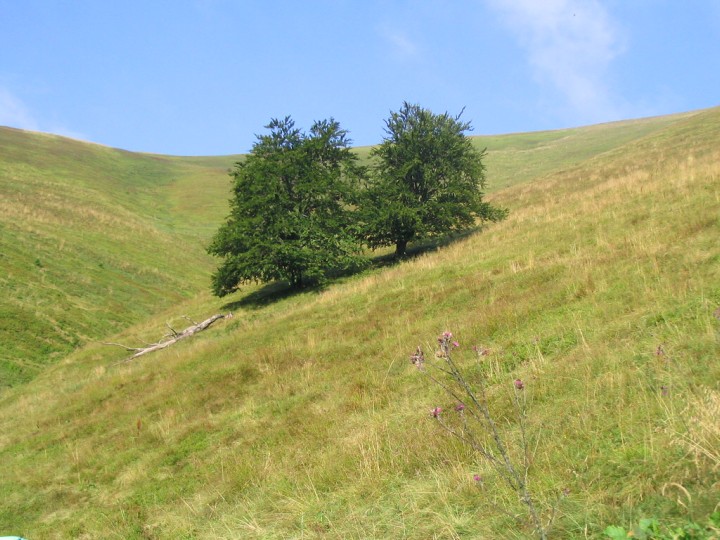 Zakarpatsk� Ukrajina