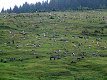 Zakarpatsk� Ukrajina