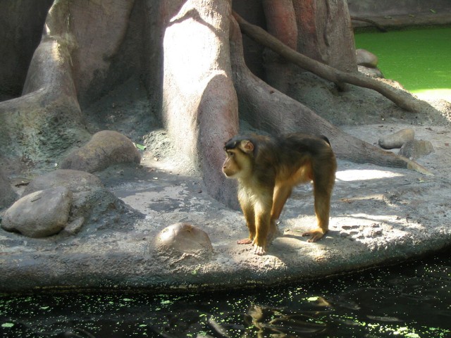 Zoo Praha