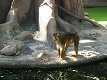 Zoo Praha