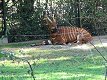 Zoo Praha