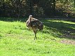 Zoo Praha