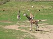 Zoo Praha