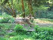 Zoo Praha