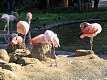 Zoo Praha